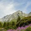 champagny-en-vanoise-202-copier-