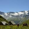 Champagny en Vanoise (85) (Copier)