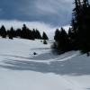 GrandCoinle12.03.11CestypasbeauP1040469