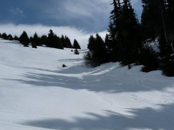 GrandCoinle12.03.11CestypasbeauP1040469